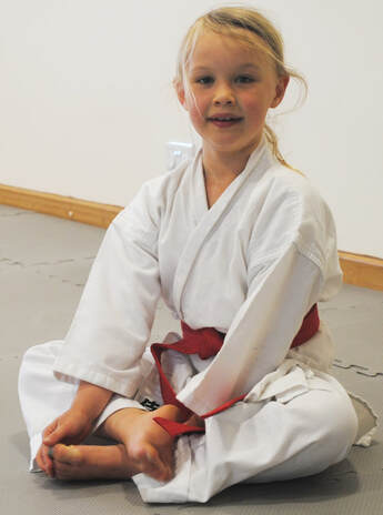 Cornwall Karate (UK) - Cornwall Karate (UK) - Home Page